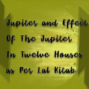 12 houses and jupiter
